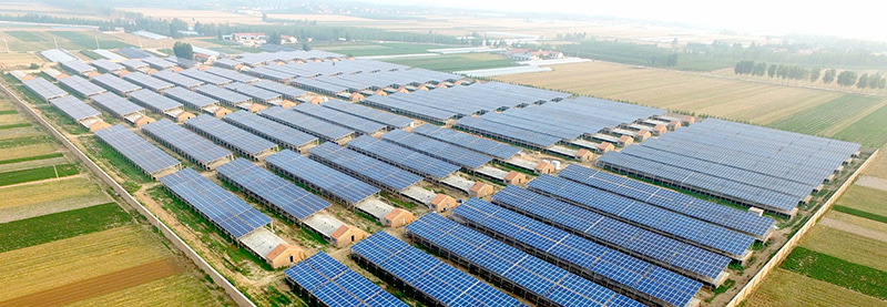 Solar mounting system for agrivoltaics