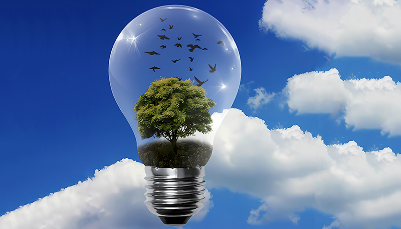 우크라이나는 재생 에너지 발전량이 10% 증가했습니다.