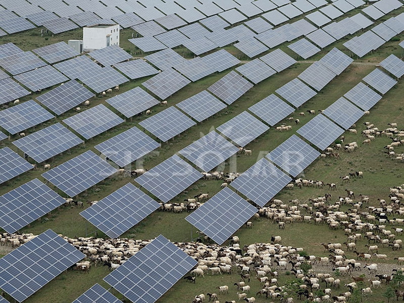 2MW Ranch Ground Solar Panels Mounting In Netherlands