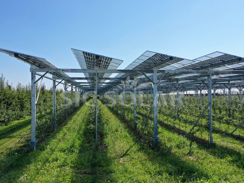 네덜란드의 500KW 태양광 농업 설치 시스템